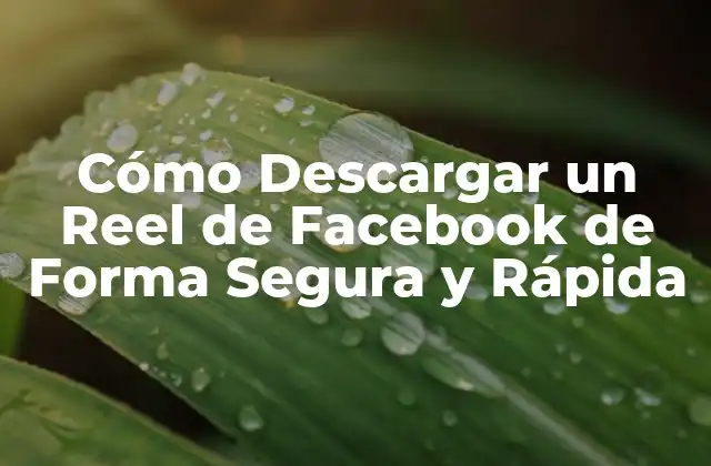 Cómo Descargar un Reel de Facebook de Forma Segura y Rápida