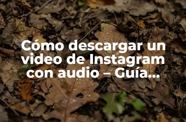 Cómo Descargar un Video de Instagram con Audio – Guía Definitiva