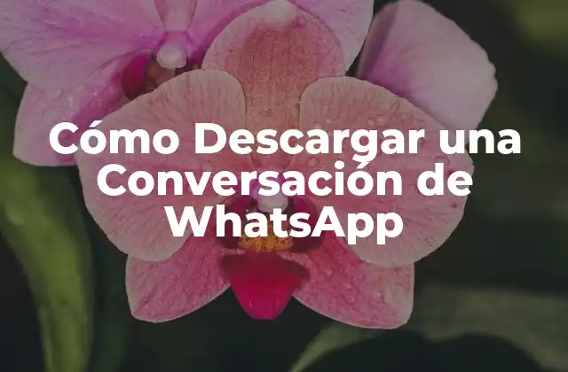 Cómo Descargar una Conversación de Whatsapp