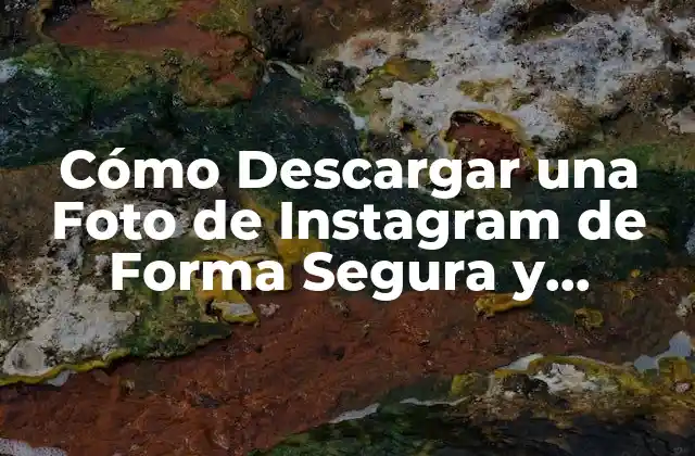 Cómo Descargar una Foto de Instagram de Forma Segura y Gratuita