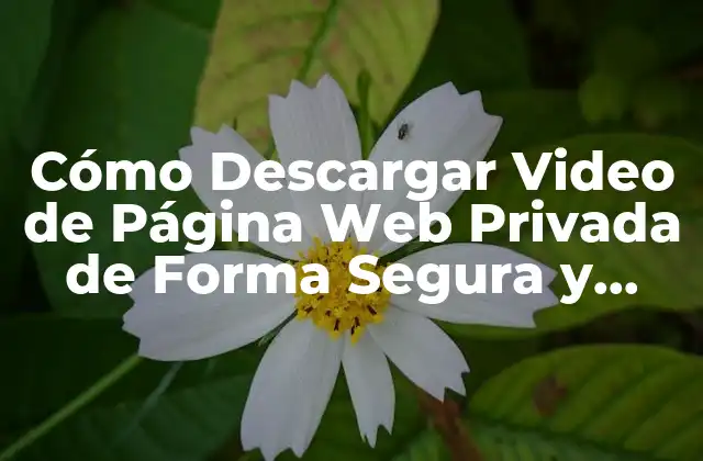 Cómo Descargar Video de Página Web Privada de Forma Segura y Legal