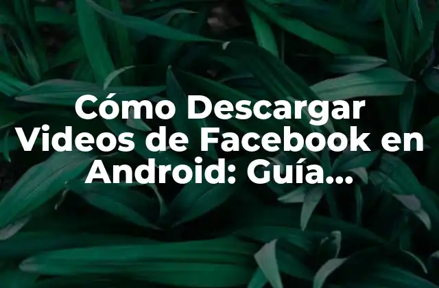 Cómo Descargar Videos de Facebook en Android: Guía Completa 2 ¿Por qué Descargar Videos de Facebook en Android es Útil?