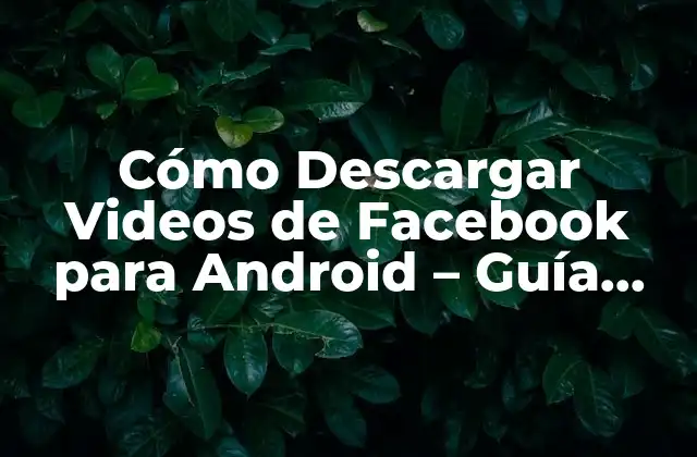 Cómo Descargar Videos de Facebook para Android - Guía Completa 2 ¿Por qué descargar videos de Facebook para Android?