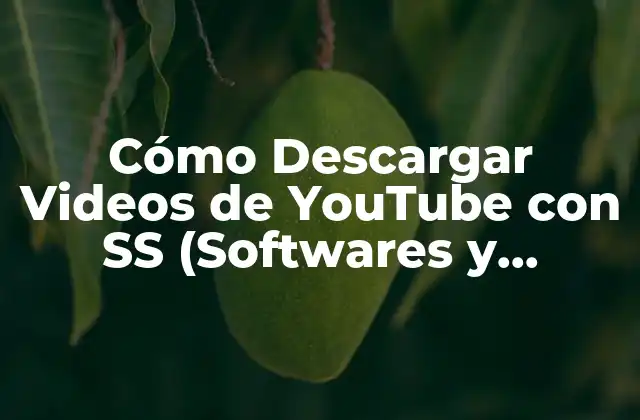 Cómo Descargar Videos de Youtube con Ss (softwares y Soluciones)