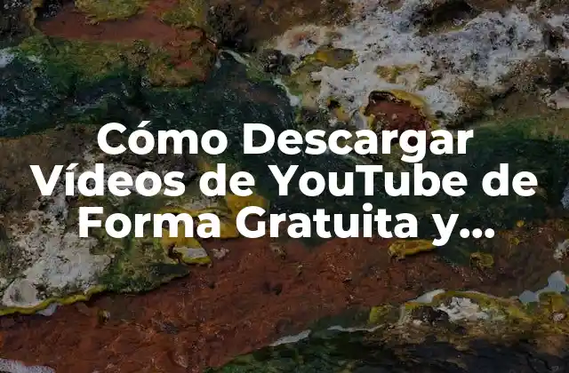 Cómo Descargar Vídeos de Youtube de Forma Gratuita y Segura