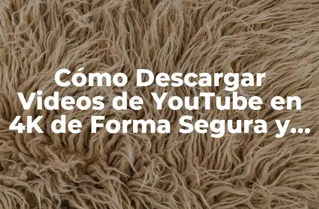 Cómo Descargar Videos de Youtube en 4k de Forma Segura y Rápida