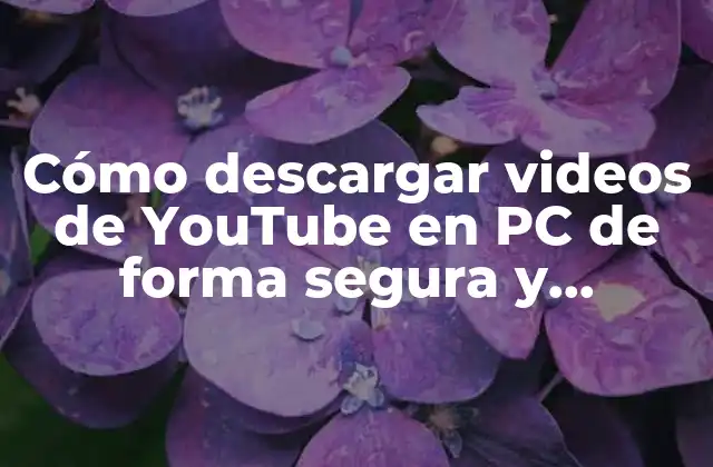 Cómo Descargar Videos de Youtube en Pc de Forma Segura y Gratuita