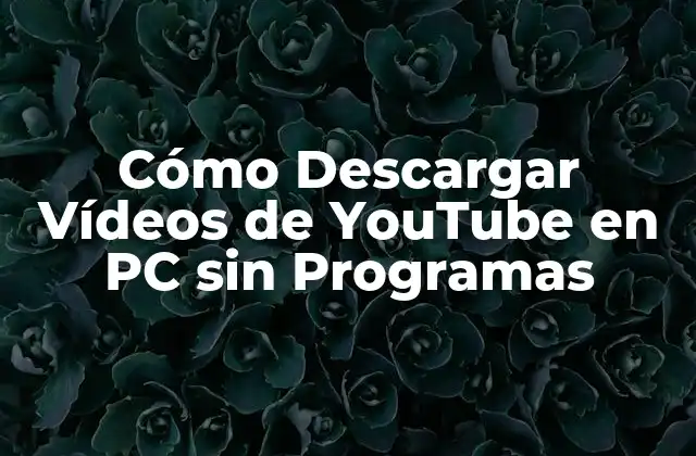 ¿Por qué Descargar Vídeos de YouTube es Importante?