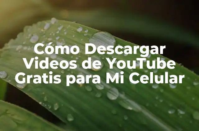 Cómo Descargar Videos de Youtube Gratis para Mi Celular 2 ¿Por qué Descargar Videos de YouTube?