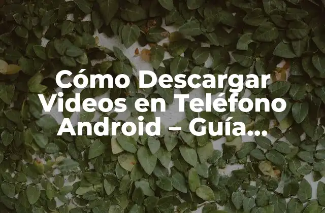 Cómo Descargar Videos en Teléfono Android – Guía Detallada