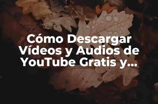 Cómo Descargar Vídeos y Audios de Youtube Gratis y Seguro