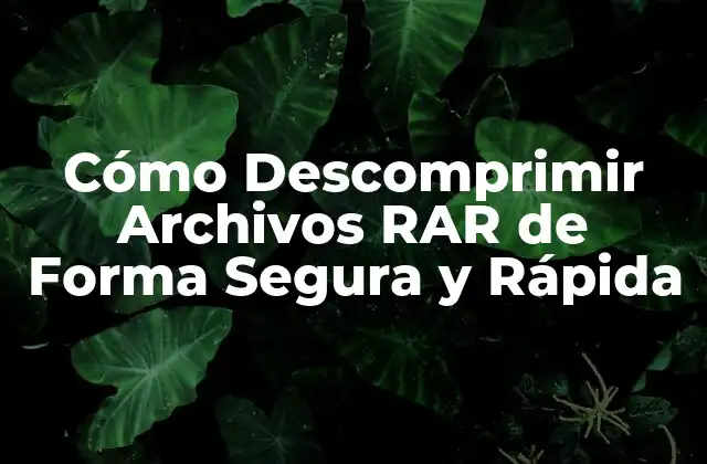 Cómo Descomprimir Archivos Rar de Forma Segura y Rápida
