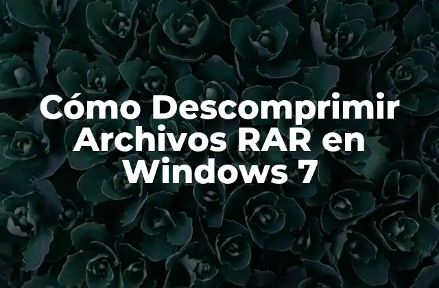 Cómo Descomprimir Archivos Rar en Windows 7 2 ¿Qué es un Archivo RAR?