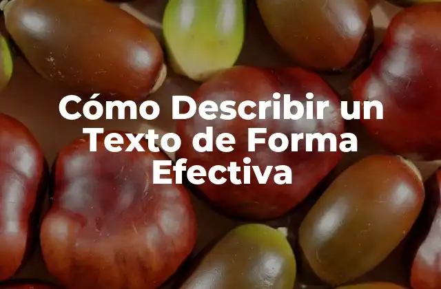 Cómo Describir un Texto de Forma Efectiva