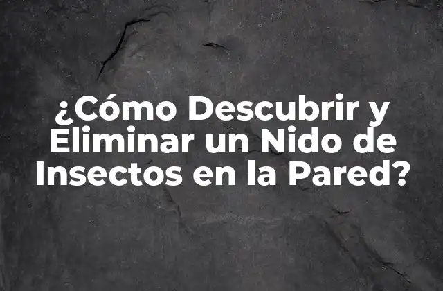¿cómo Descubrir y Eliminar un Nido de Insectos en la Pared?