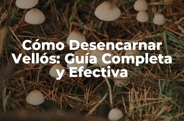 Cómo Desencarnar Vellós: Guía Completa y Efectiva 2 ¿Qué Son los Vellós y Cómo Se Forman?