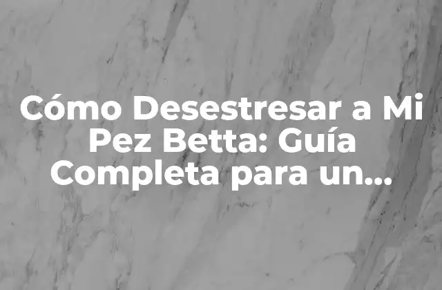 Cómo Desestresar a Mi Pez Betta: Guía Completa para un Acuario Feliz