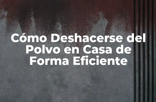 Cómo Deshacerse Del Polvo en Casa de Forma Eficiente