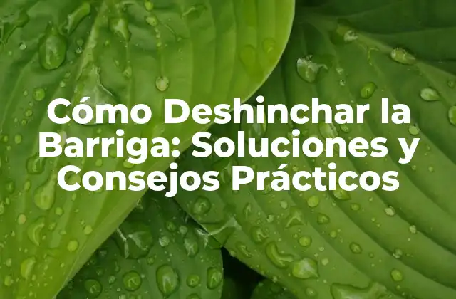 Cómo Deshinchar la Barriga: Soluciones y Consejos Prácticos