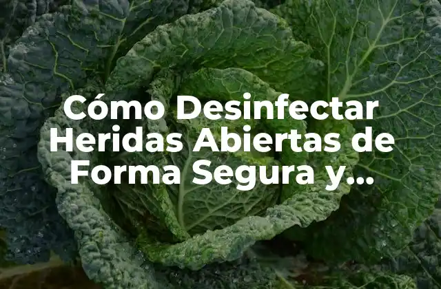 Cómo Desinfectar Heridas Abiertas de Forma Segura y Efectiva