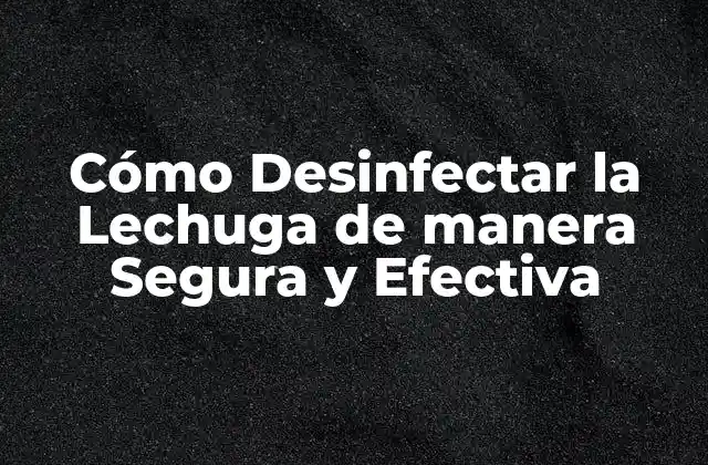 Cómo Desinfectar la Lechuga de Manera Segura y Efectiva