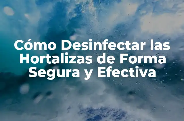 Cómo Desinfectar las Hortalizas de Forma Segura y Efectiva 2 ¿Por qué es importante desinfectar las hortalizas?