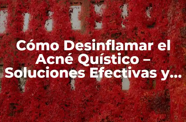 Cómo Desinflamar el Acné Quístico – Soluciones Efectivas y Naturales