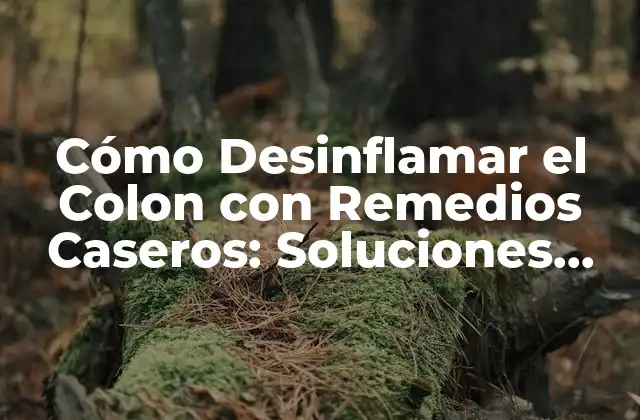 Cómo Desinflamar el Colon con Remedios Caseros: Soluciones Naturales y Efectivas