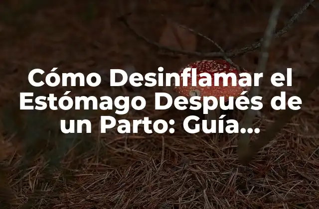 Cómo Desinflamar el Estómago Después de un Parto: Guía Completa para Recuperar Tu Figura