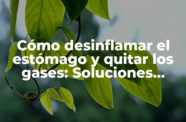 Cómo Desinflamar el Estómago y Quitar los Gases: Soluciones Naturales y Efectivas