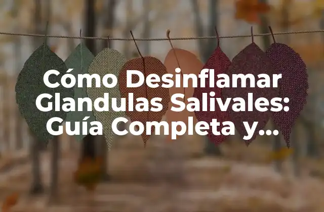 Cómo Desinflamar Glandulas Salivales: Guía Completa y Actualizada