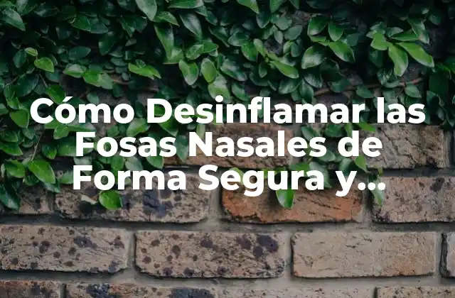 Cómo Desinflamar las Fosas Nasales de Forma Segura y Efectiva