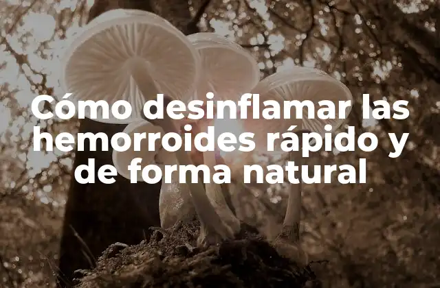 Cómo Desinflamar las Hemorroides Rápido y de Forma Natural