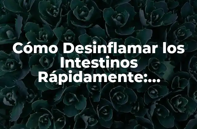 Cómo Desinflamar los Intestinos Rápidamente: Soluciones Efectivas para una Salud Intestinal Mejorada