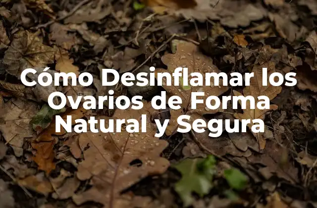Cómo Desinflamar los Ovarios de Forma Natural y Segura