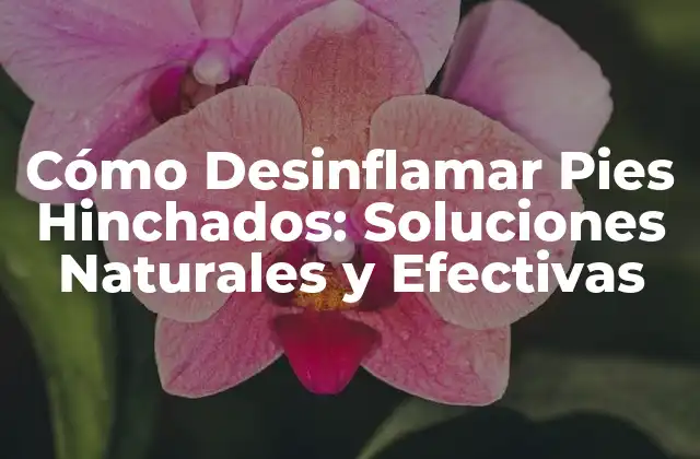 Cómo Desinflamar Pies Hinchados: Soluciones Naturales y Efectivas