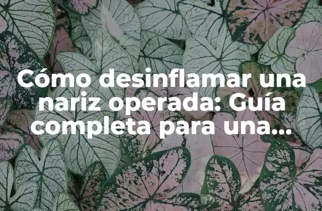 Cómo Desinflamar una Nariz Operada: Guía Completa para una Rápida Recuperación