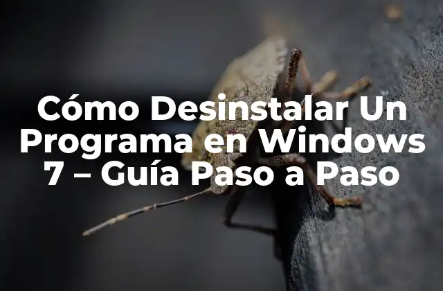 Preparación para la Desinstalación