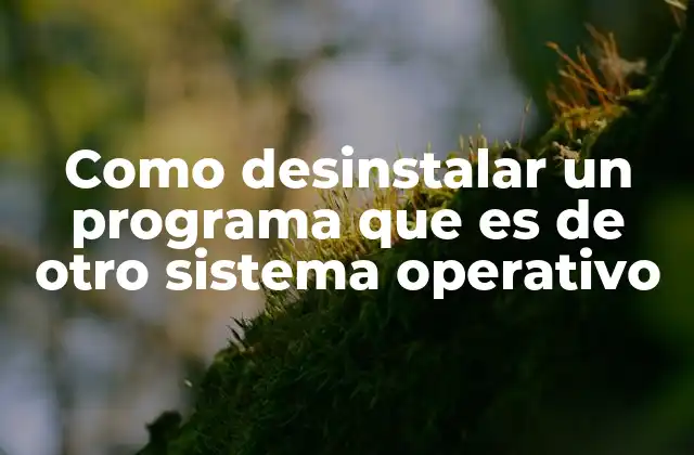 Como Desinstalar un Programa que es de Otro Sistema Operativo