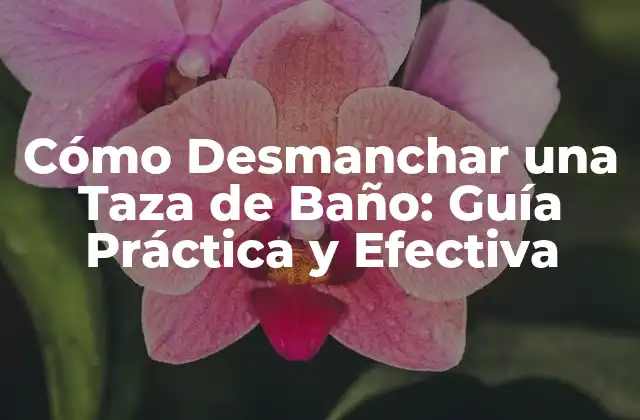 Cómo Desmanchar una Taza de Baño: Guía Práctica y Efectiva