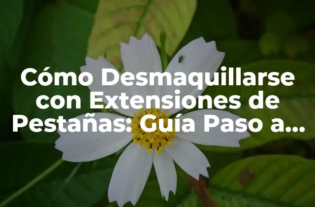 Cómo Desmaquillarse con Extensiones de Pestañas: Guía Paso a Paso