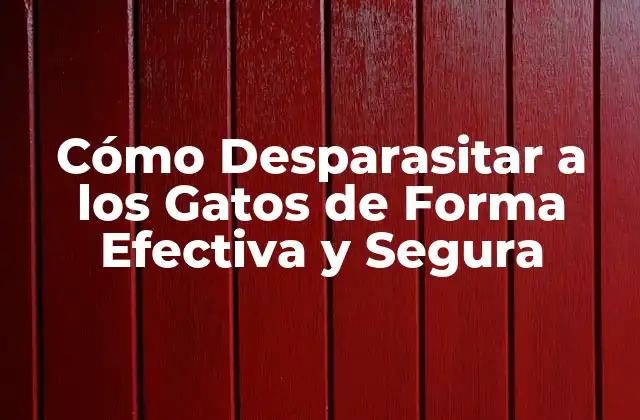 Cómo Desparasitar a los Gatos de Forma Efectiva y Segura