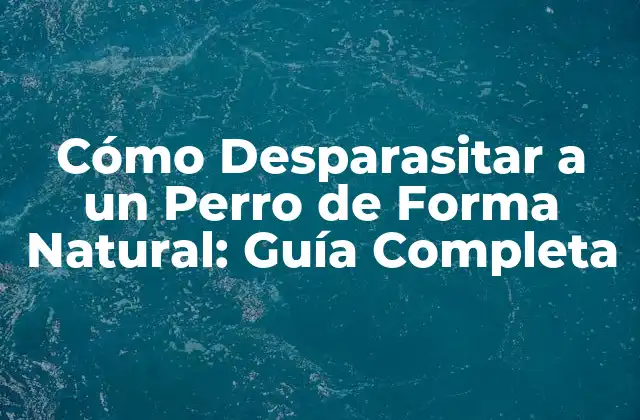 Cómo Desparasitar a un Perro de Forma Natural: Guía Completa