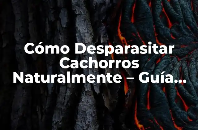 Cómo Desparasitar Cachorros Naturalmente - Guía para Padres de Perros 2 ¿Por qué es Importante la Desparasitación en Cachorros?