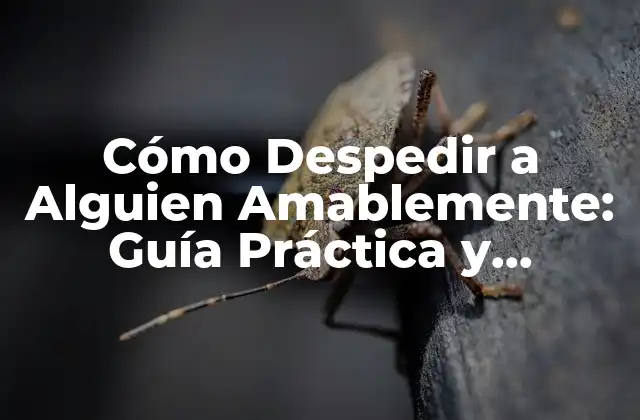 Cómo Despedir a Alguien Amablemente: Guía Práctica y Sensible