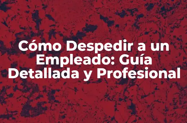 Cómo Despedir a un Empleado: Guía Detallada y Profesional