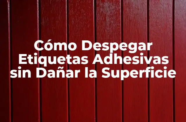 Cómo Despegar Etiquetas Adhesivas sin Dañar la Superficie