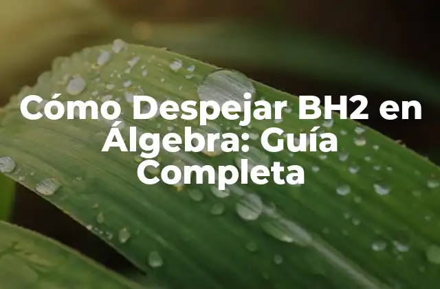 Cómo Despejar Bh2 en Álgebra: Guía Completa