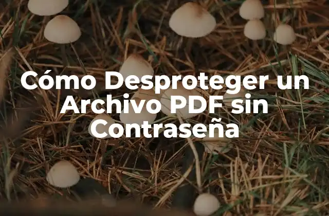 ¿Por qué Desproteger un Archivo PDF?
