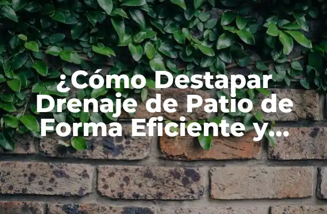 ¿cómo Destapar Drenaje de Patio de Forma Eficiente y Segura?